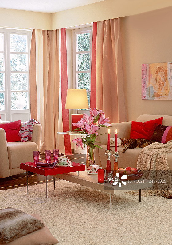 客厅配有明亮的家具和沙发上的红色靠垫图片素材