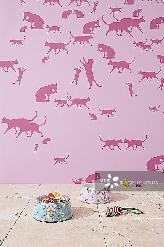 猫咪图案粉色壁纸前的猫咪用品和食盆图片素材