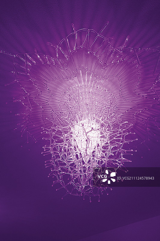 紫色背景上的灯光珊瑚吊灯图片素材