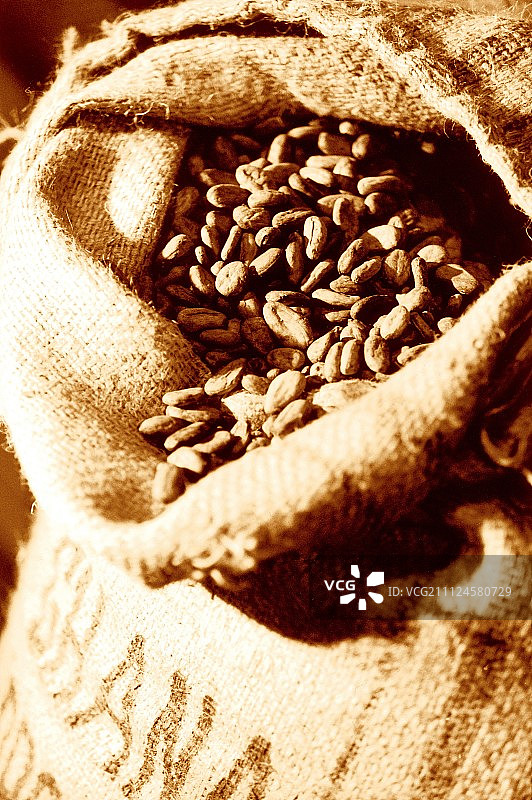 麻袋里的棕色可可豆特写图片素材