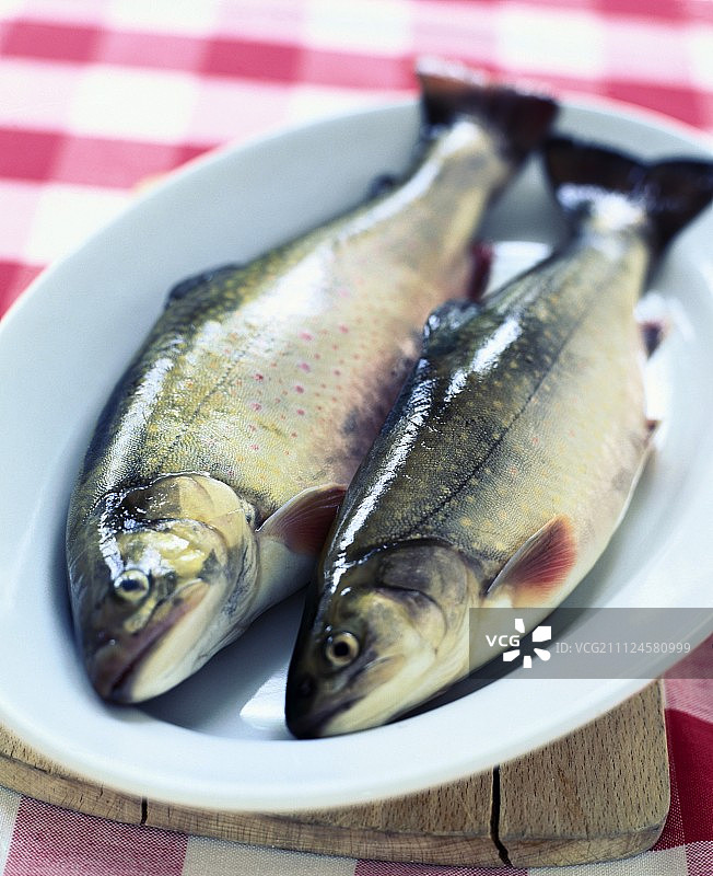 盘子里两条嘉鱼的特写图片素材