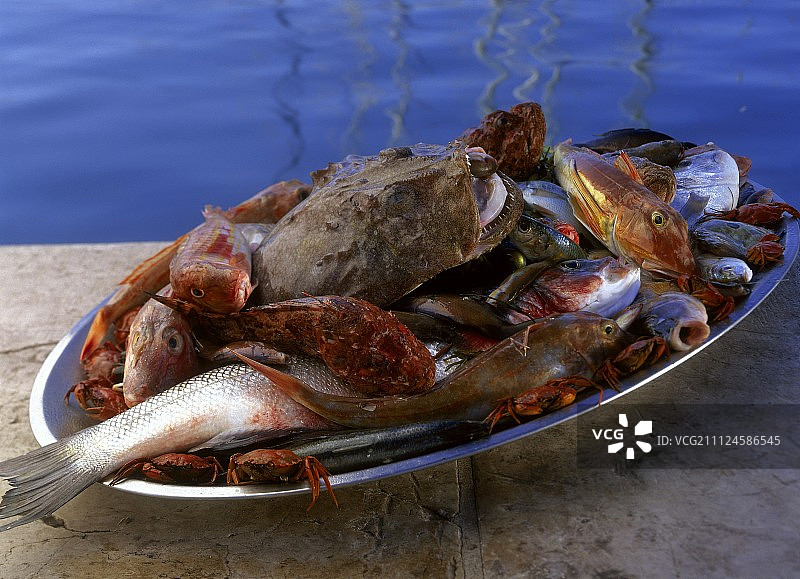 盘中不同种类的地中海海鱼特写图片素材
