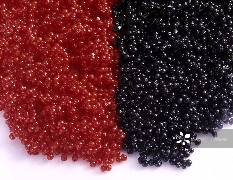 白色背景上的鱼子酱图片素材