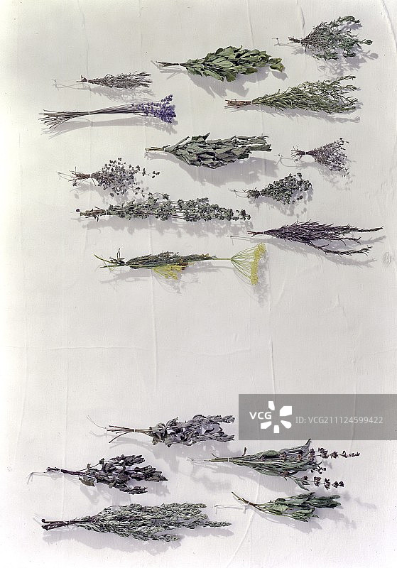 多种成束干草药白色背景图片素材