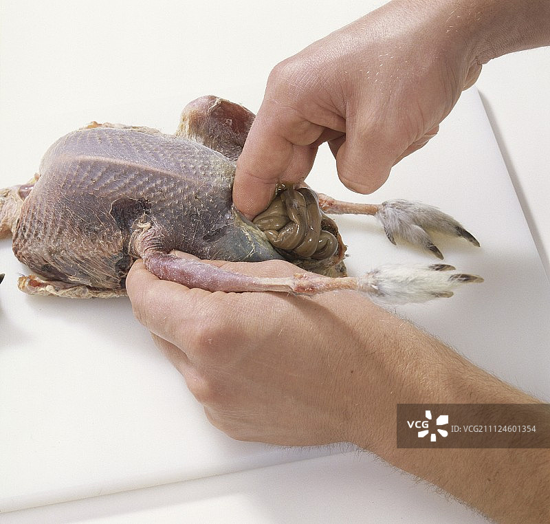 手去除松鸡内脏图片素材