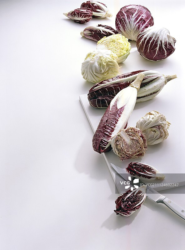 白色背景上的五种不同品种的菊苣图片素材