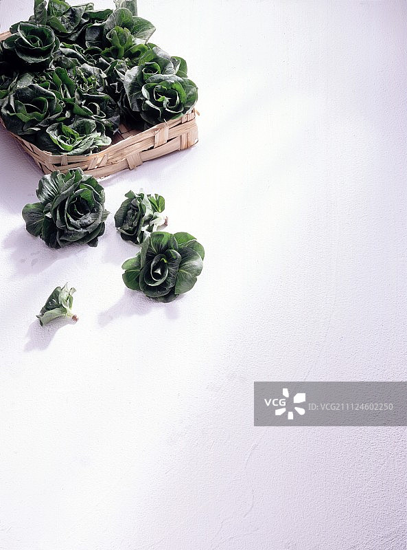 特写：白色背景篮子里的绿色皱叶菊苣图片素材