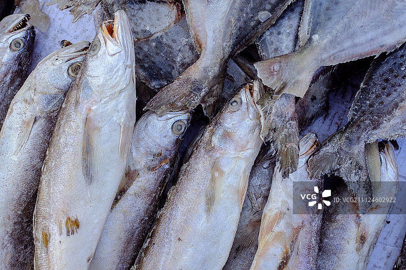 市场上的冻鱼图片素材