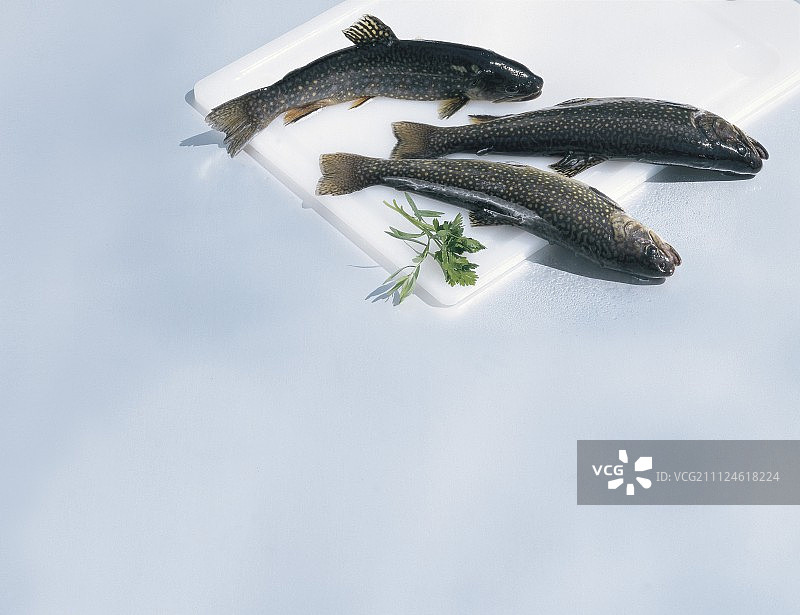 砧板上的三条生溪鳟鱼图片素材