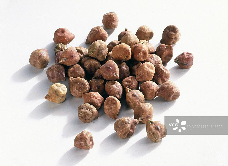白色背景上的干褐色鹰嘴豆图片素材