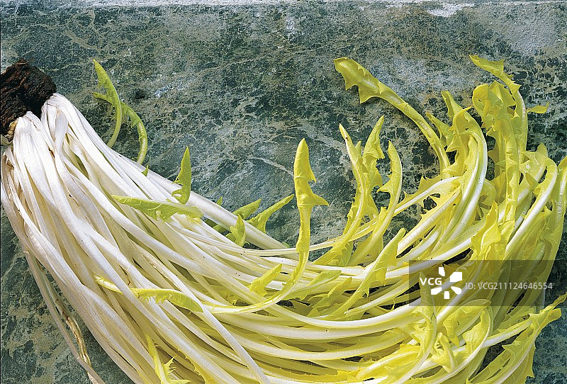 新鲜沙拉叶特写图片素材