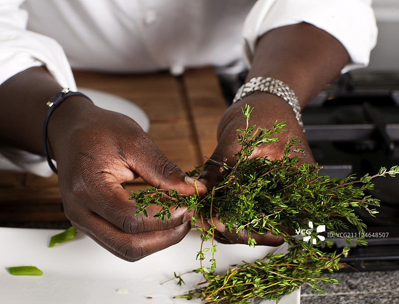 男人手中拿着香薄荷的特写图片素材