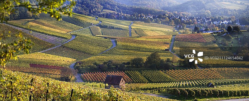 海尔布隆圣山酒庄景观图片素材