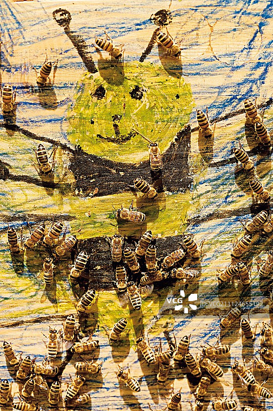蜜蜂聚集在彩绘蜂箱周围图片素材
