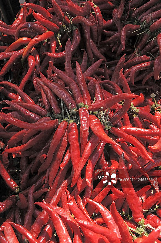 不同类型的红辣椒特写图片素材
