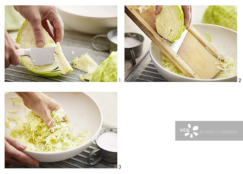 预备中的白菜图片素材