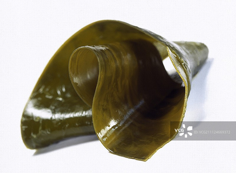 白色背景上切开的绿色藻类图片素材