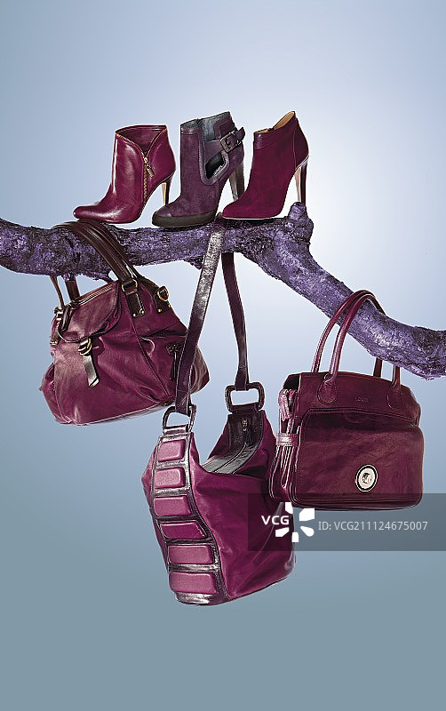 丁香树枝上悬挂的各种红色包和鞋子图片素材