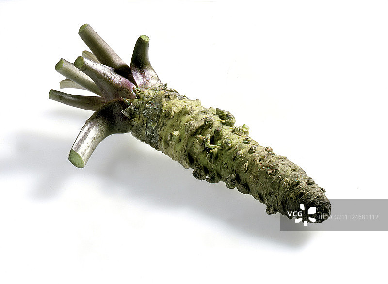 白色背景下的日本辣根图片素材