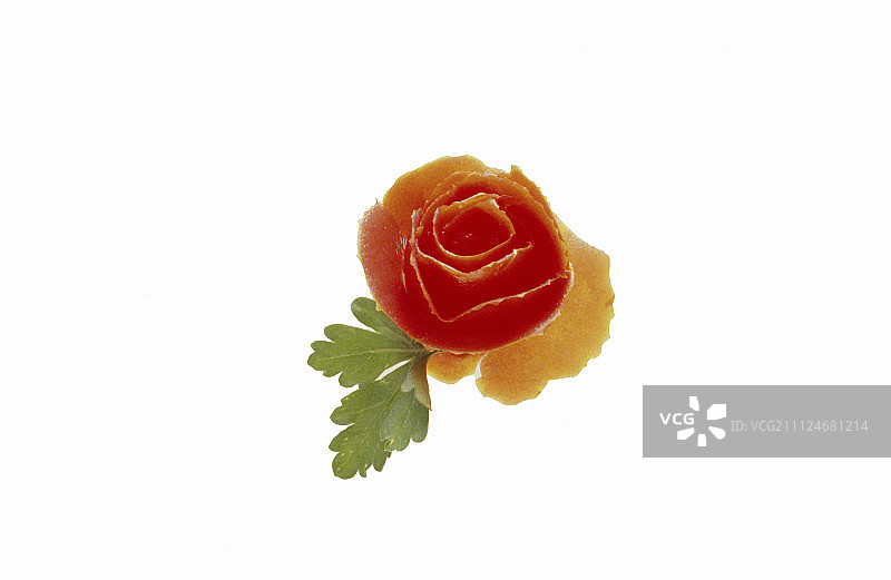 白色背景上的番茄玫瑰配欧芹图片素材