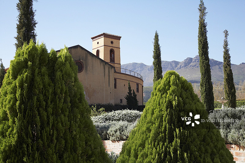 南非阿善堤酒庄的树篱和柏树景观图片素材