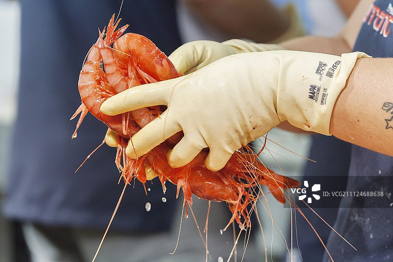 西班牙加泰罗尼亚Empordà Palamós市集Torres鱼店出售的新鲜虾图片素材