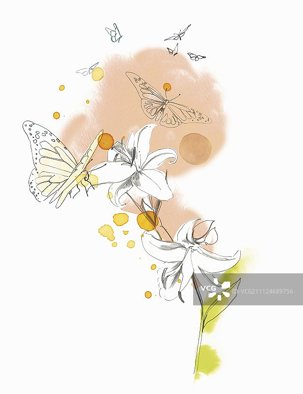 处女座星座插画图片素材