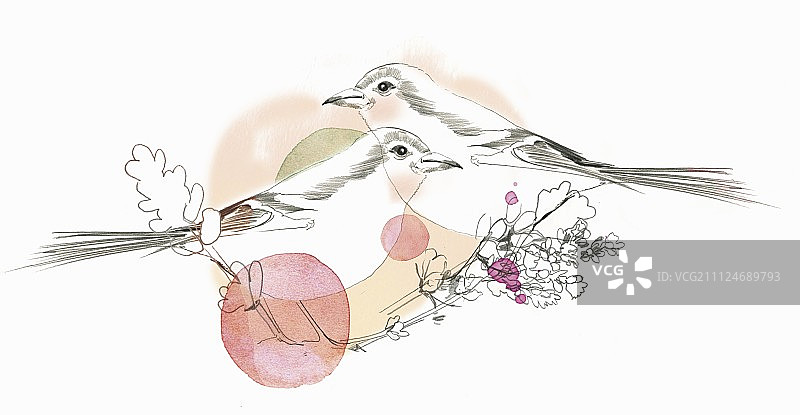 双子座星象插画图片素材