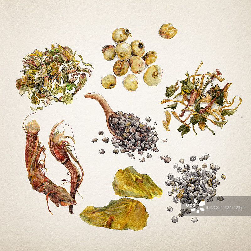 中草药3图片素材