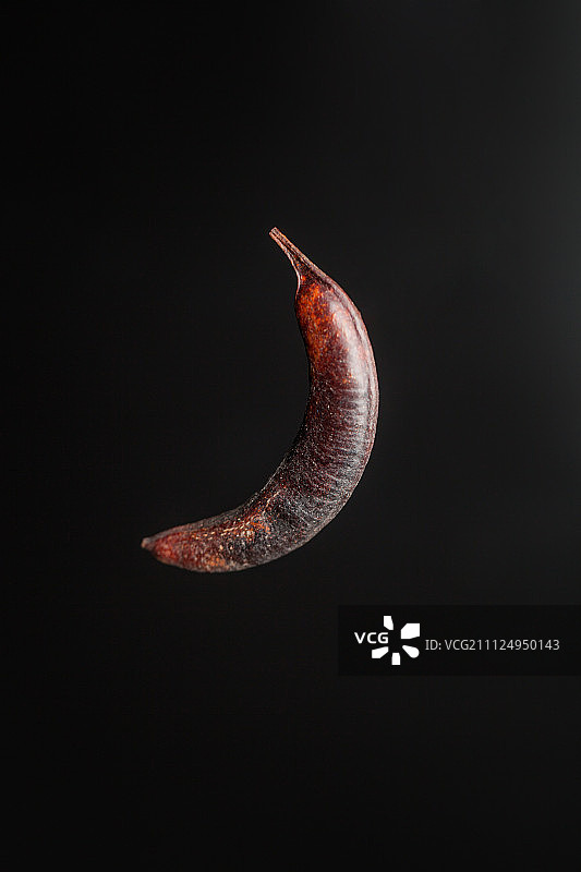 猪牙皂黑背景棚拍图片素材