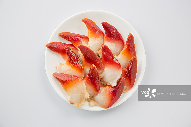 北极贝图片素材