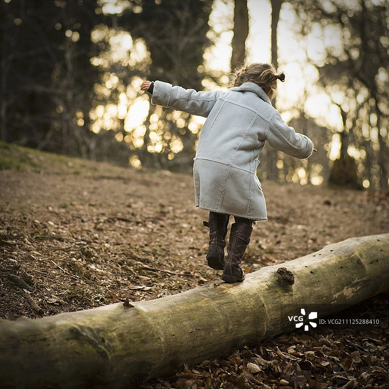 穿着灰色外套在森林中原木上平衡的小女孩图片素材