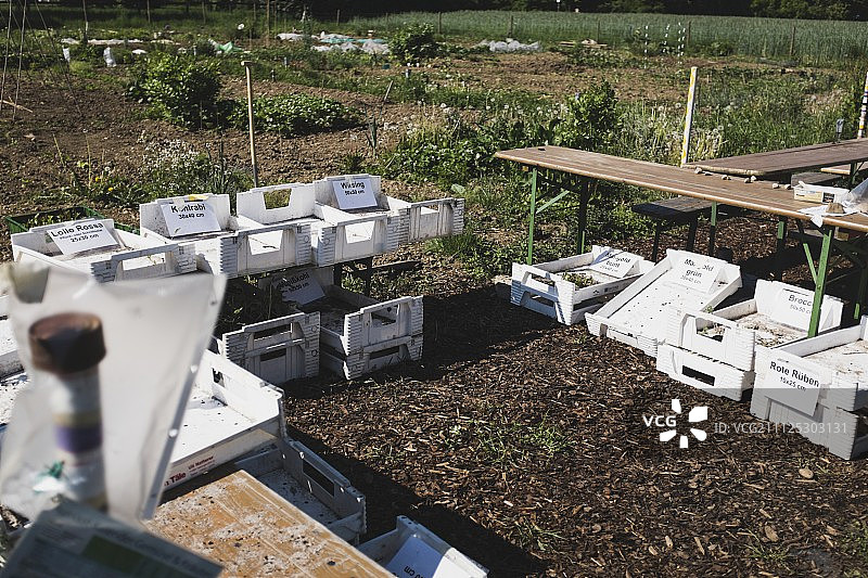 花园地块与空菜箱、野餐桌图片素材