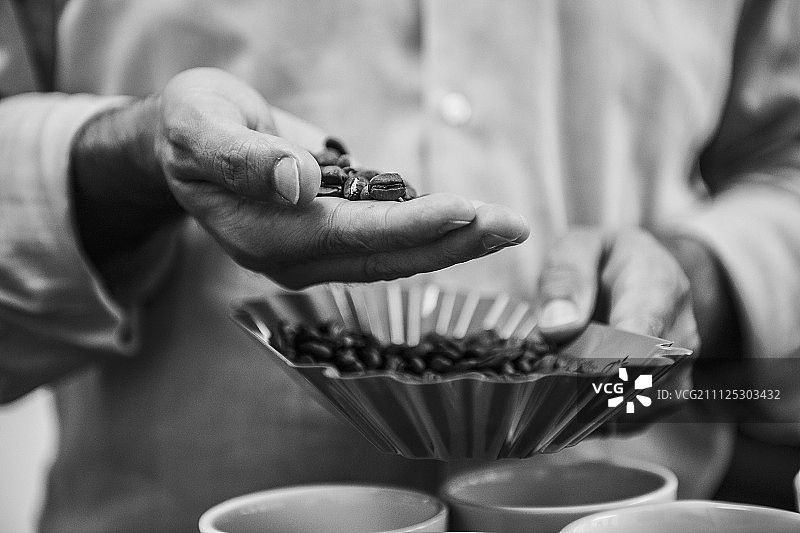 品尝咖啡豆的咖啡师（黑白照片）图片素材
