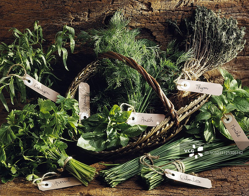 草药精选图片素材