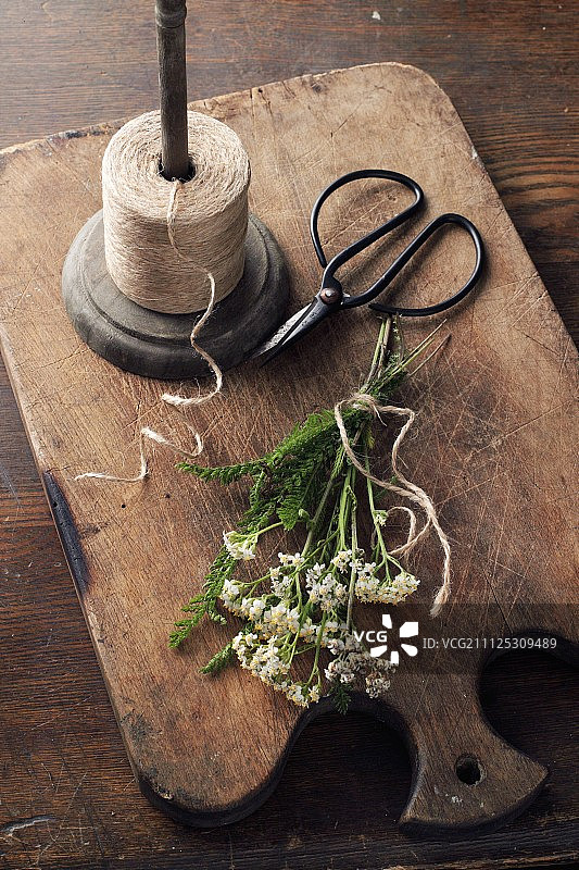 正在制作的希尔德加德·冯·宾根蓍草粉图片素材