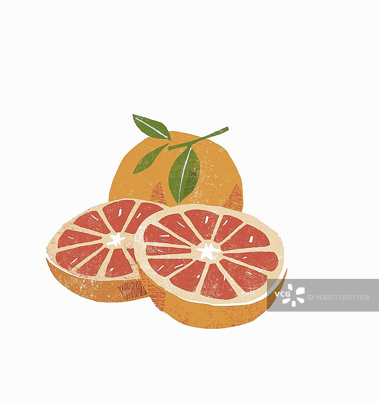 葡萄柚，整个和切半（插图）图片素材
