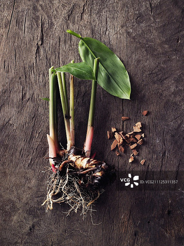 木质表面上的高良姜植物图片素材