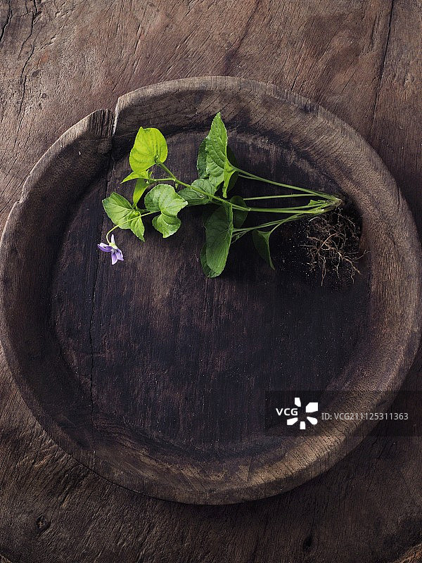 木碗里的香薰紫罗兰图片素材