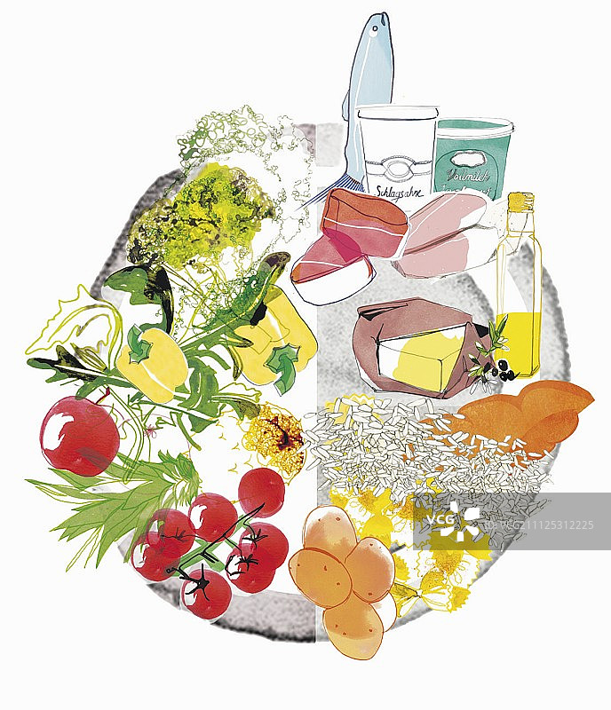 盘子里的理想营养搭配（插图）图片素材