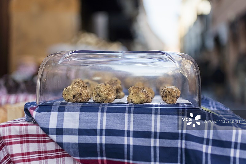 意大利皮埃蒙特阿尔巴的松露市场上的白松露图片素材