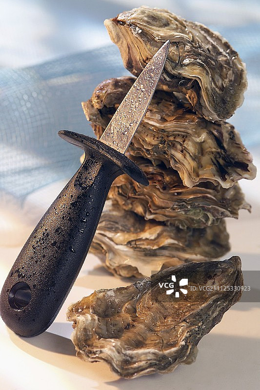 开启的牡蛎图片素材