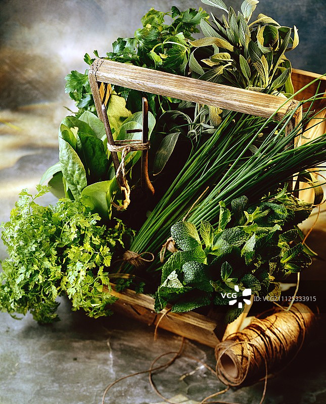 新鲜的庭院香草图片素材