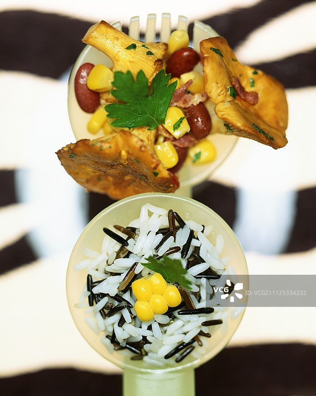 野生稻米和蘑菇图片素材