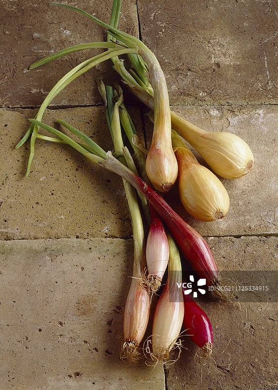 新鲜的青葱图片素材