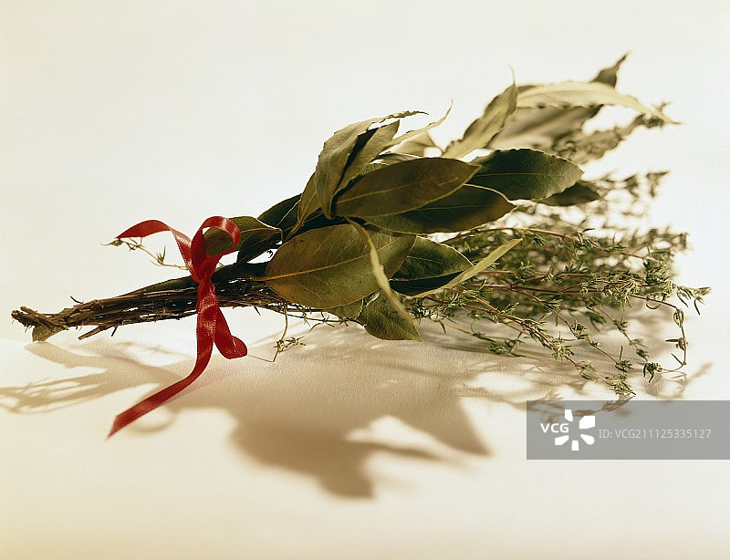 香草束，含月桂叶和月桂图片素材