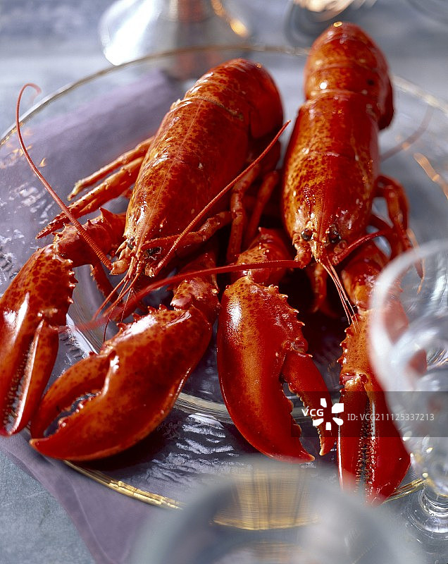 龙虾图片素材
