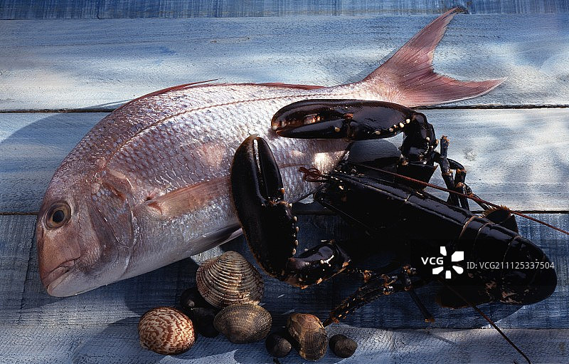 鲷鱼、龙虾和贝类海鲜图片素材