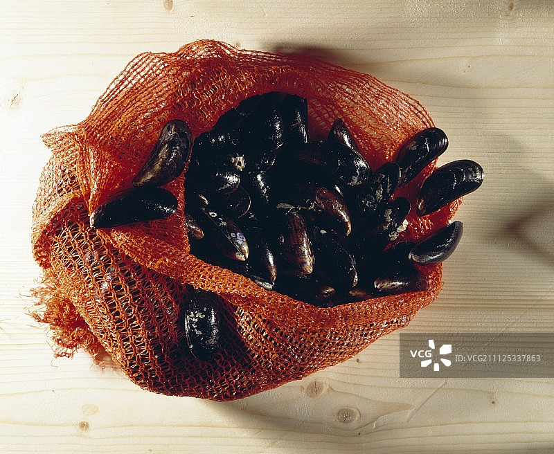 贻贝网图片素材