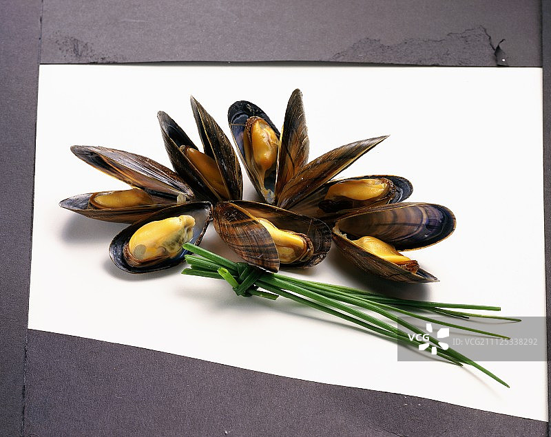煮熟的贻贝图片素材